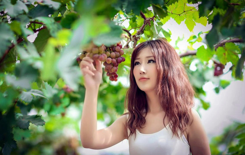 《相约星期二》读后感